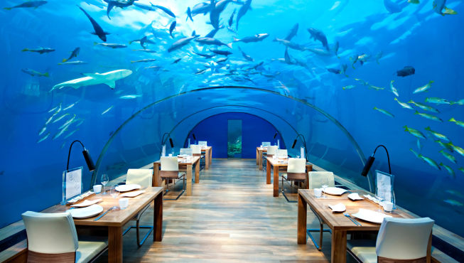 海底世界的餐厅——当海洋环绕着您的世界，一切都如梦如幻。