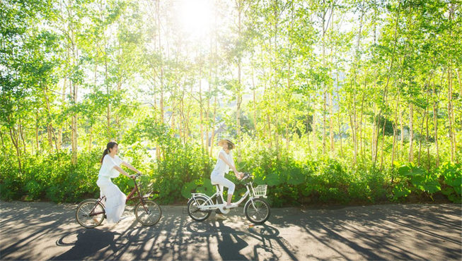 跨上可以在森林中自由驰骋的山地自行车，纵横于或平坦或凹凸不平的道路。