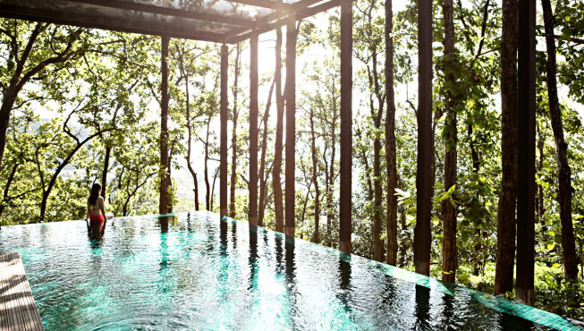 碧蓝的泳池仿佛坐落在丛林中，如梦如幻。