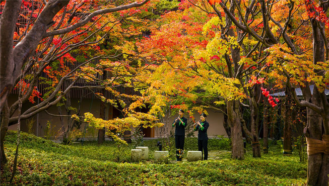 在每天的赏析会上，工作人员将亲自解说益子烧的由来，并让您透过多种方式感受当地民间工艺之美。