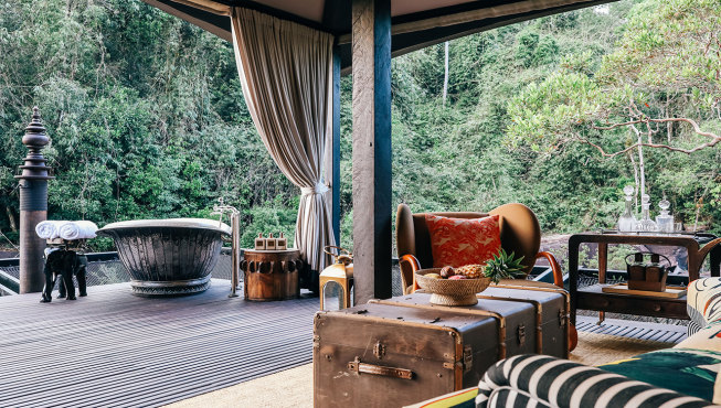 房间内采用奢华的丛林探险风格，与自然完美相融。