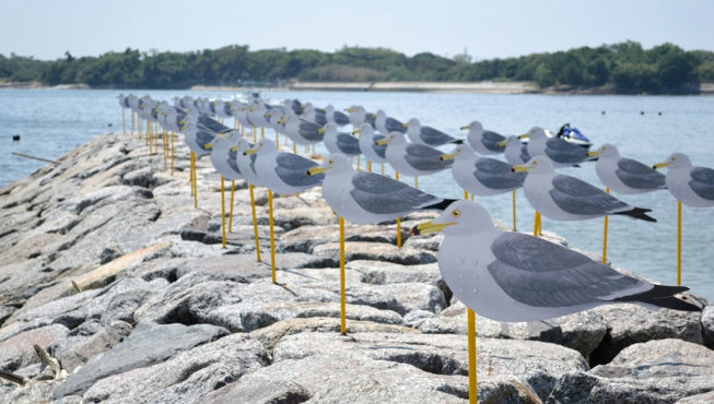 艺术作品《海鸥的停车场》。一靠近女木港，便能看到300只海鸥在防波堤上一字排开，就像真的海鸥一样，这个装置也会随风改变方向。