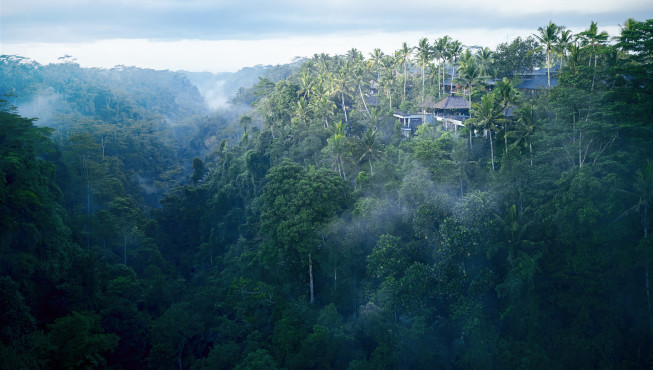 巴厘岛虹夕诺雅掩映在乌布地区茂密丛林和山雾缭绕之中。