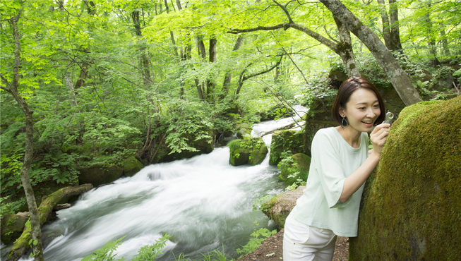 春天入住奥入濑溪流酒店，您可以带上放大镜去观察300多种溪流两岸新鲜苔藓的微观世界。