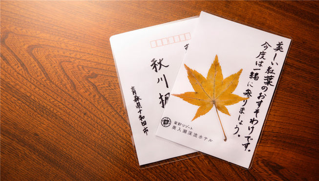 捡拾落叶制作专属“红叶书签/明信片”。