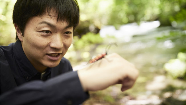 夏日里，白天深入大自然了解昆虫的生活，夜幕降临后，前往汤之台高原或十和田湖观星。