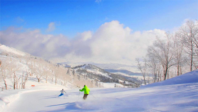 位于北海道中心位置的富良野不仅适合夏日看花，冬日的富良野滑雪场还引得无数滑雪迷欣然前往。