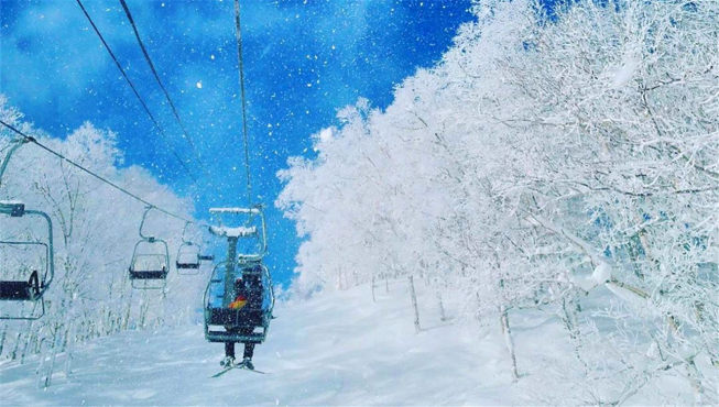 富良野滑雪场涵盖藉由山顶共通雪道相连的富良野和北之峰区域。