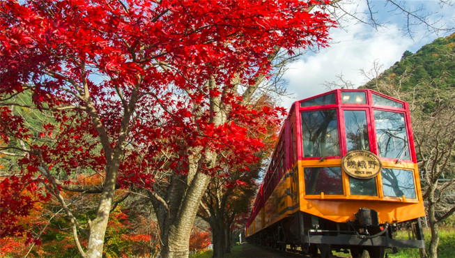 搭乘岚山小火车，感受列车摇摆穿行于漫山遍野花海红叶间的浪漫惬意。