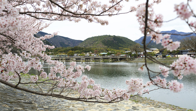 欣赏因形似“月亮在渡桥”而被命名的渡月桥，这里不同的自然之景及丰富活动吸引着无数游人的目光。
