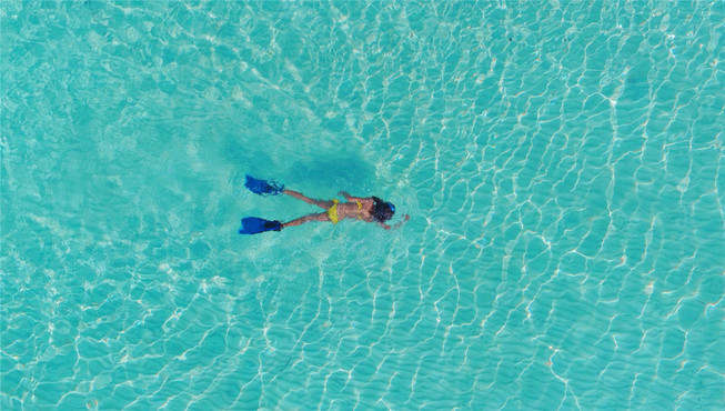 前往Soleni潜水中心，在PADI教练的指导下体验潜水的乐趣。