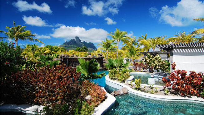 酒店的天然奇观绿洲泳池，让您可以随时潜入水中，尽情享受天堂般的无穷乐趣。