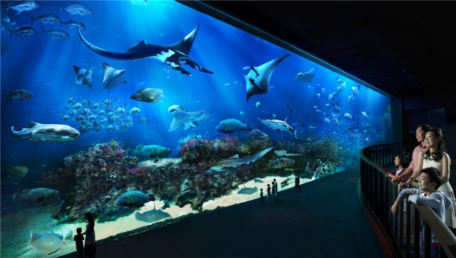 圣淘沙名胜世界占地49公顷，拥有亚洲最大的海洋馆——S.E.A。