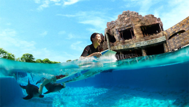 在水上探险乐园与海豚亲密接触。