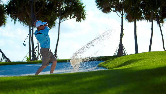 岛上的高尔夫球场——千姿百态的棕榈树和异域植物群落为你的运动时光锦上添花。