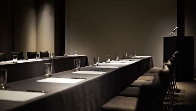 酒店提供各种会议室,配备相关专业设施设备。