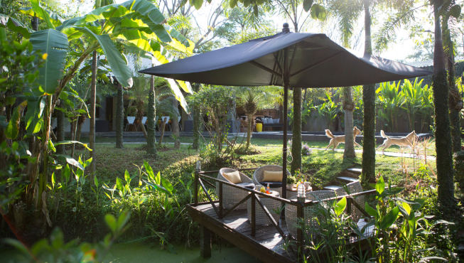 度假村内部就有一个热带花园，足不出户就能让你感受到热带地区的自然风光。