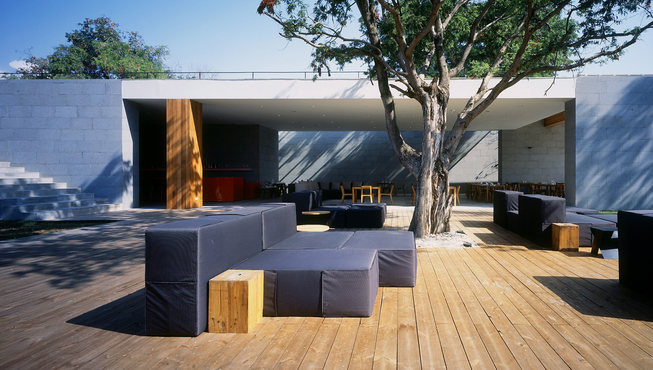 庭院景观—树影婆娑,清风拂面,人生得此足以。