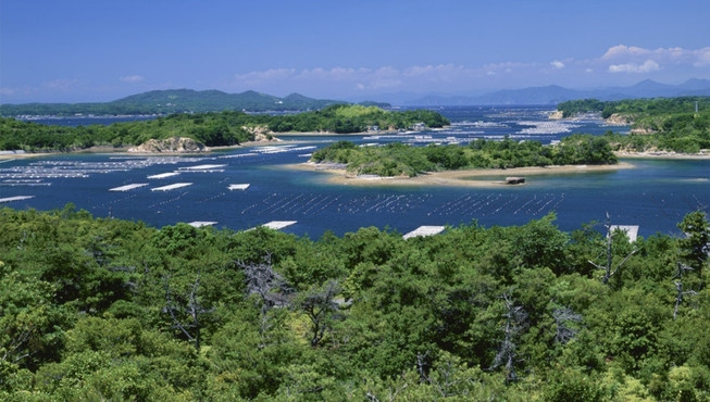 有“珍珠湾”之称的英虞湾里，小岛零星散布在海中，采珠船漂浮于平静无波的海面上，她被NHK（日本放送协会）“21世纪留存的日本风景”排名第6位，湾内有大小50余座岛屿，是珍珠的故乡