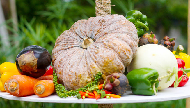 采摘来自艾琳塔花园的有机蔬菜，是最纯天然的新鲜食材
