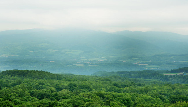 酒店位于二世古藻岩山（Niseko Moiwa）地区，无论春秋冬夏，这里都是个度假的好地方。