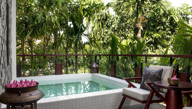 当太阳穿过迷人的密林时，于典雅寓所内，欣赏大自然的动态美景。