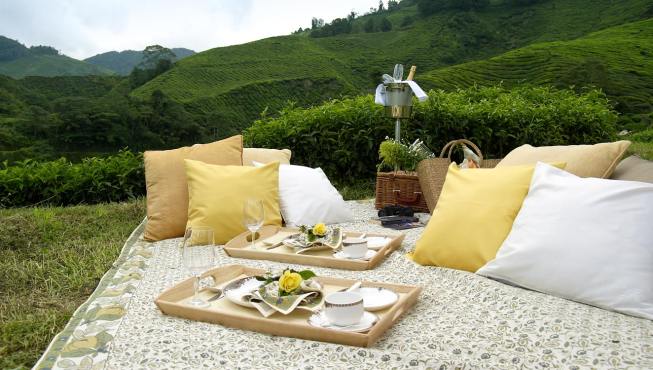 高原上专门开辟有茶园，是热门的避暑胜地和旅游地点。