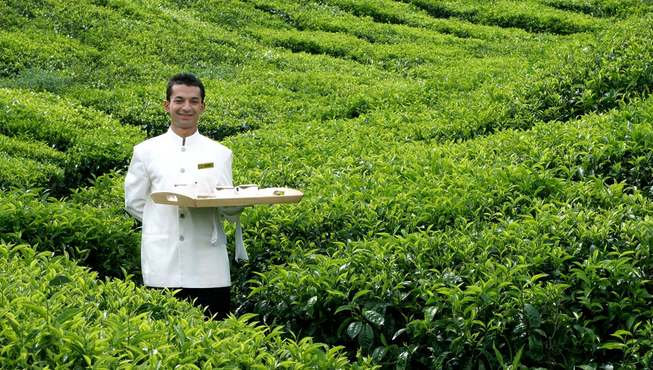 远方静静的山脉勾勒出美丽的倩影，即使轻松随意的晚间散步也能扑面感受到悠远时代的浪漫与传说。