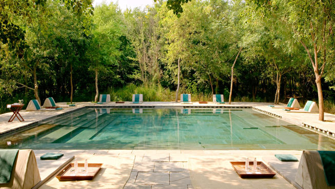泳池池水清亮，在夏季是一个受客人喜欢的地方。