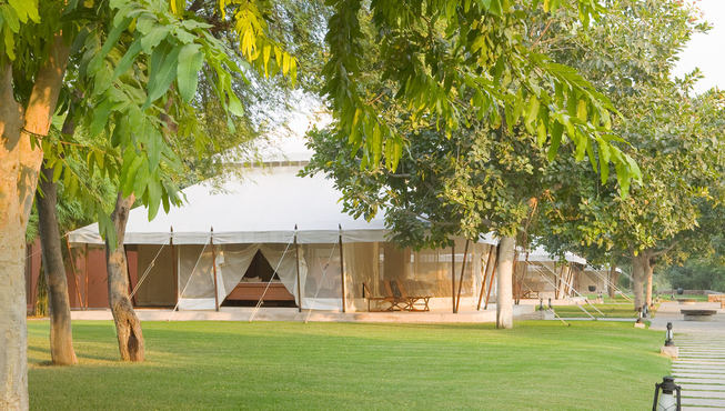 度假村共有10间豪华的帐篷客房,都是独特的印度莫卧儿风格。