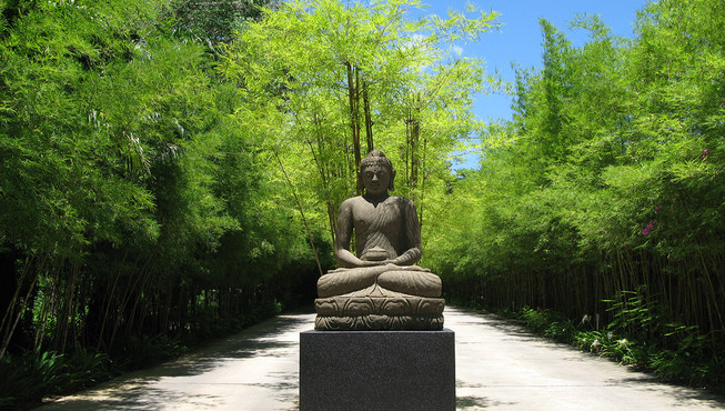 酒店坐落于风景优美的普吉岛的最高处，能够很好的保护客人隐私。