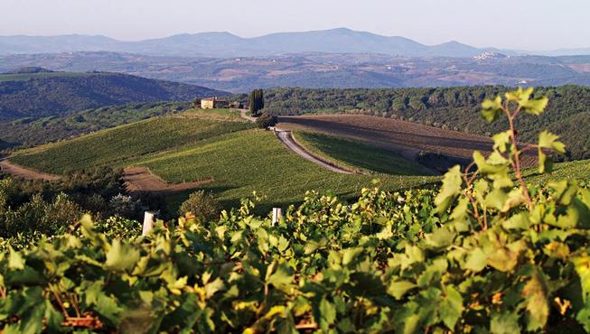 使用庄园自产原料，学习烹饪正宗的托斯卡纳菜式