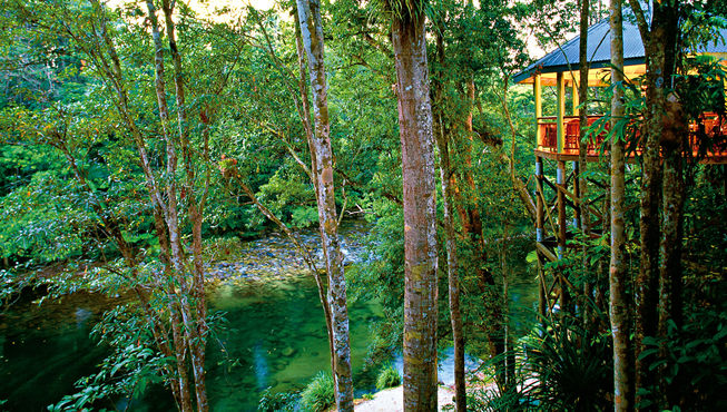 酒店的餐厅架在繁茂的植物间