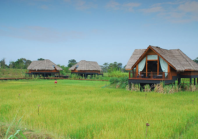 Jetwing Vil Uyana