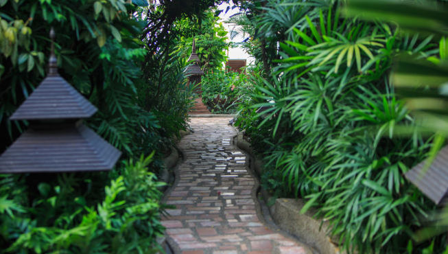 别墅被茂盛的植被和成熟的椰子树等热带树木所围绕，使得私密性得以保存。